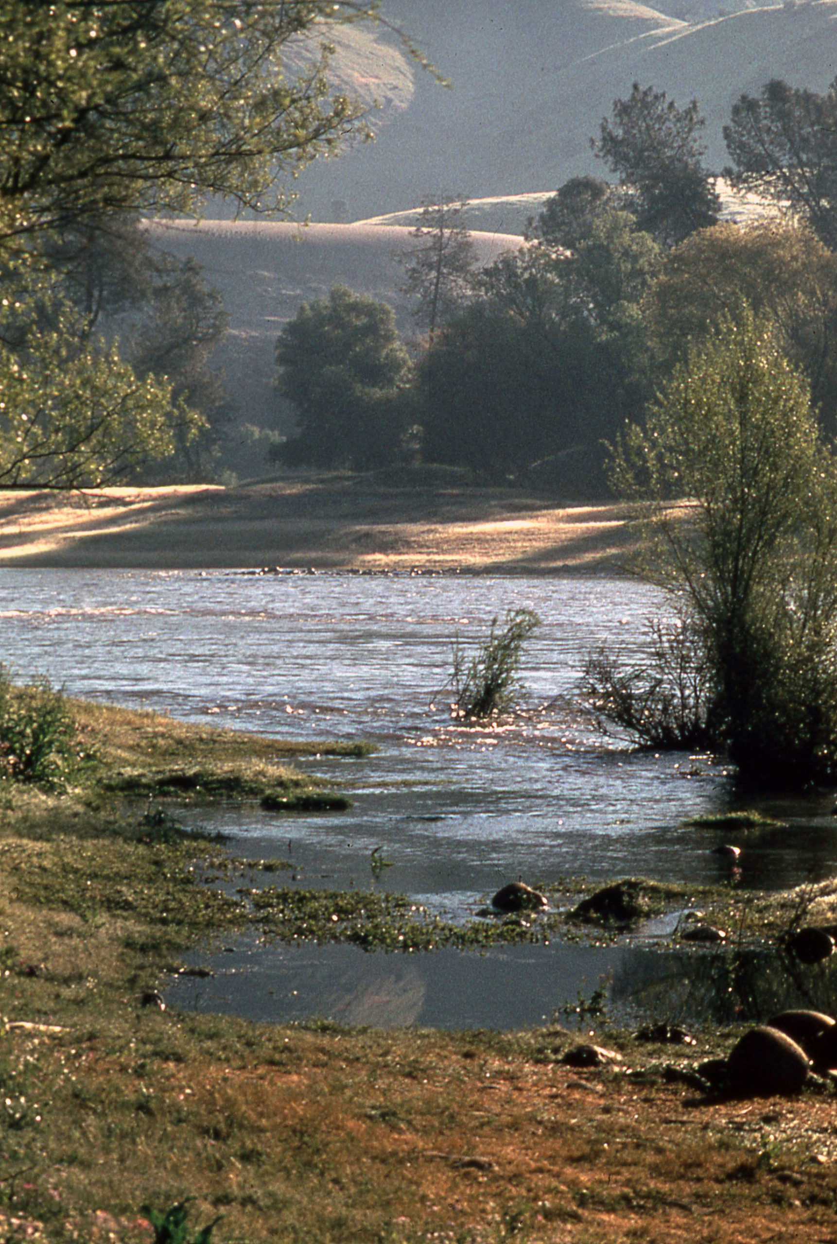 The Stanislaus River canyon at Robinson's Ferry, used in Guide to 3 Rivers book The Stan The